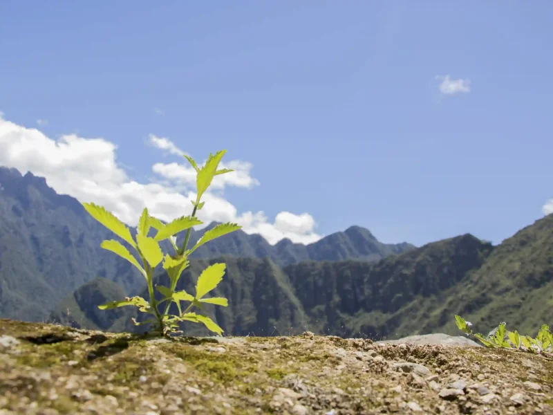 Inca Jungle Trail to Machu Picchu 7 Days