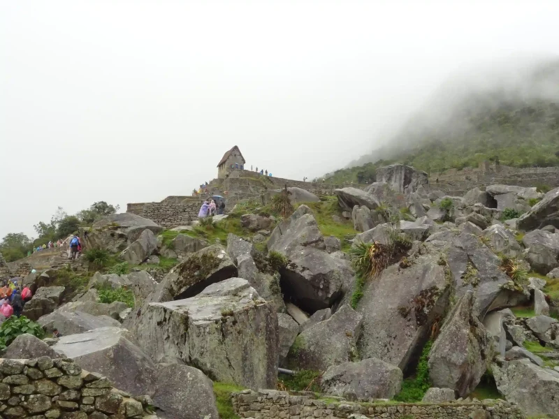 Inca Jungle Trail to Machu Picchu 7 Days
