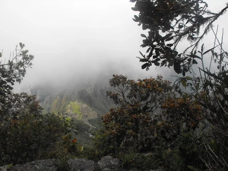 Inca Jungle Trek to Machu Picchu 4 Days