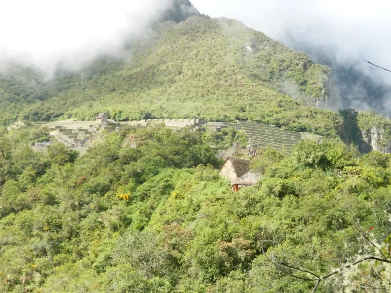 Inca Jungle Trek to Machu Picchu 4 Days