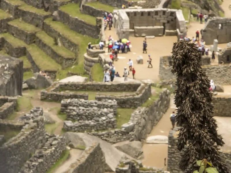 Inca Jungle Trek to Machu Picchu 4 Days