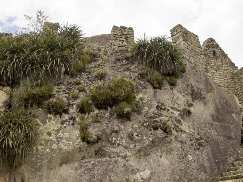 Inca Jungle Trek to Machu Picchu 4 Days