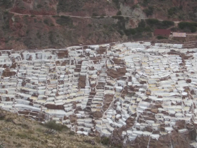 Maras and Moray Trip 1 day Tour