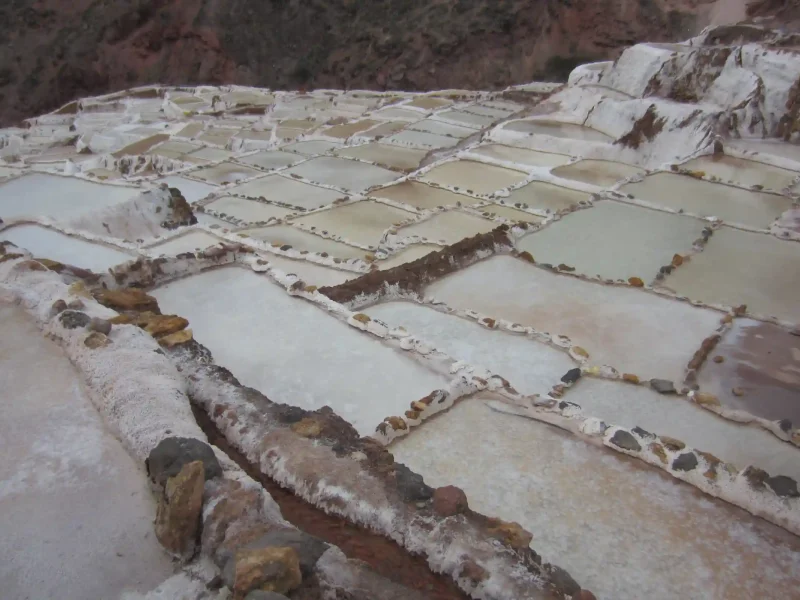 Maras and Moray Trip 1 day Tour