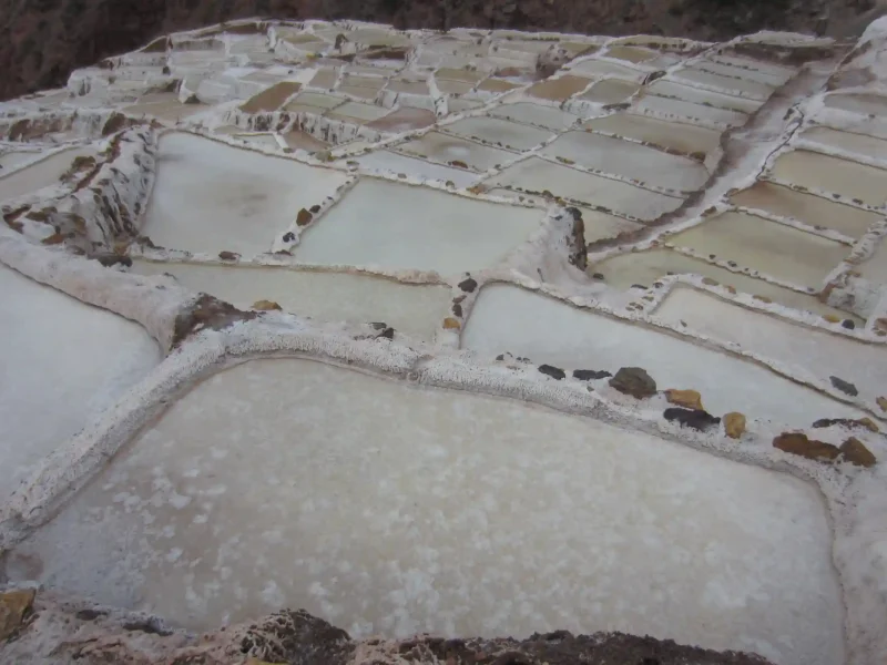 Maras and Moray Trip 1 day Tour