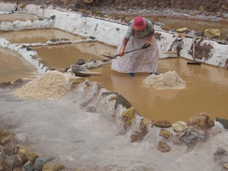 Maras and Moray Trip 1 day Tour