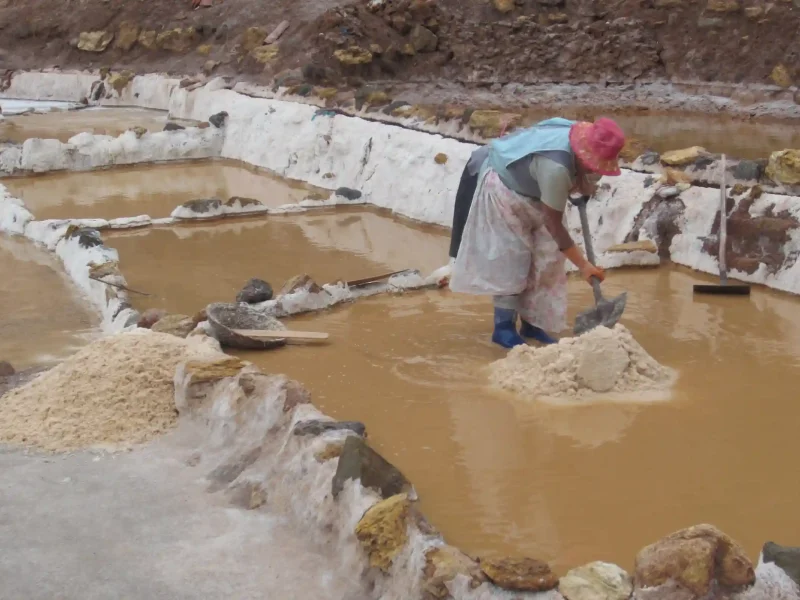 Maras and Moray Trip 1 day Tour